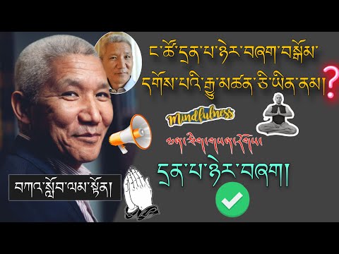 🚨Geshe Thupten Jinpa🙏 དྲན་པ་ཉེར་བཞག་བསྒོམ་དགོས་པའི་རྒྱུ་མཚན་ཅི་ཡིན་ནམ།?🙇#TibetanADVICE #mindfulness 