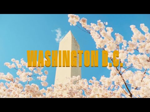 Cherry Blossoms in D.C | 24 hrs of Street Photography (Fuji X100VI)