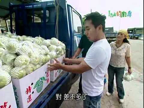 利吉惡地芭樂達人