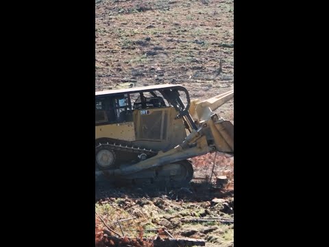 D8 with a Chopper Roller!