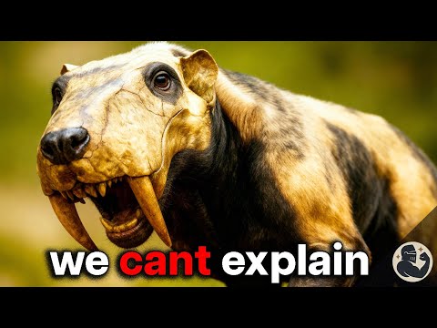 Prehistoric Monsters – Life Before Dinosaurs  | HISTORY FOR SLEEP