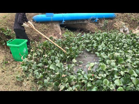 I was surprised when they saw that I cut the grass and picked up vegetation caused the drain clog