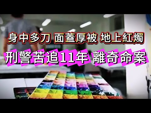 【真實案件】| 刑警哭追11年的離奇命案！現場詭異：受害人身中多刀、面蓋厚被地上還點住紅燭！#案件 #案件解說 #真實故事