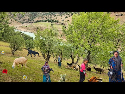 Nomadic Life: Brave Girls' Nomadic Life | Nomadic Shepherding by the River💞✨