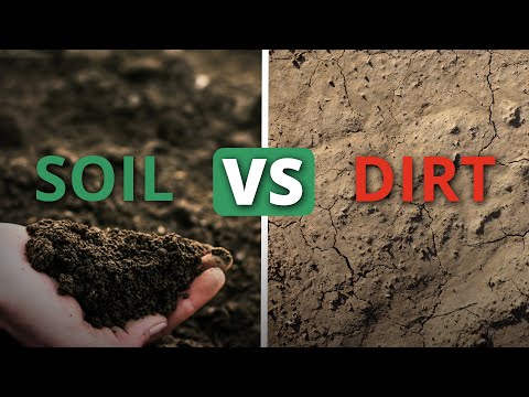 What Makes Soil Healthy? | Soil Food Web School