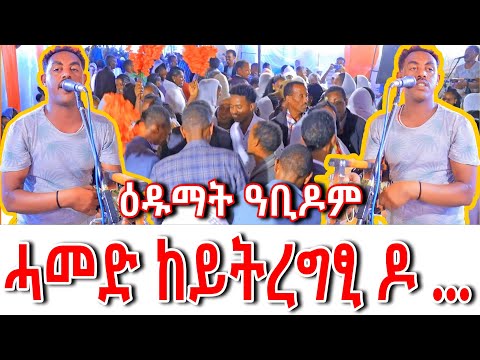  👌ሓመድ ከይትረግፂ ዶ ኢሎምኪ ባባዬ😱ዕዱማት ተደሚሞም  #ethiopianmusic #tigraymusic 