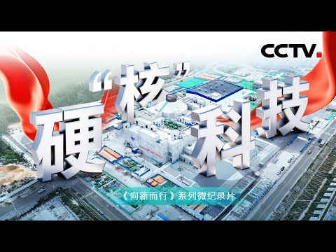 核能领域的“移动充电宝”什么样？小巧玲珑的“玲龙一号”拥有哪些强大功能？《向新而行》第6集 硬“核”科技 | CCTV