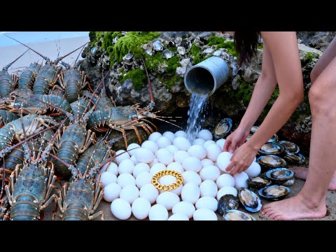 小章赶海发大财，龙虾、八爪鱼捡不停，竟还在白蛋下发现黄金手链【赶海小章官方频道】