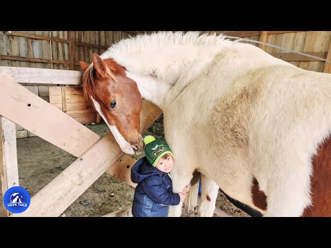 This Horse Wouldn’t Trust Anyone…Until She Met A One-Year-Old Boy