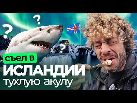 Минусы Исландии: еда невкусная и всё дорого, но люди счастливы | тухлая акула, высокие цены