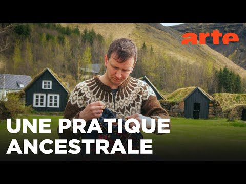 Islande : le tricot, une affaire d'hommes | GEO Reportage | ARTE Family