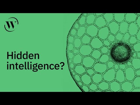 Can cells think? | Michael Levin