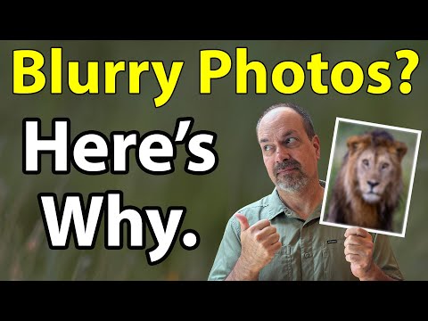 Blurry Wildlife Photos? This Is Why! (Top 3 Reasons For Soft Wildlife And Bird Photos)