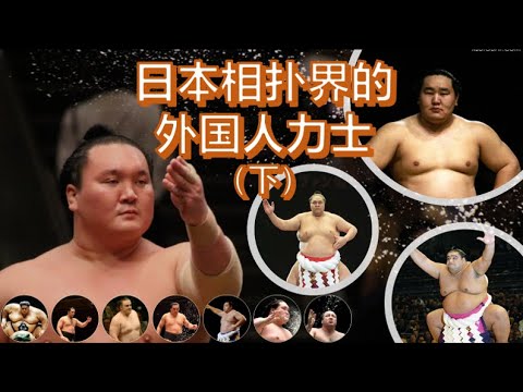 縱橫日本相撲界的11位外國人橫綱和大關！日本相撲界的外國人力士（下）