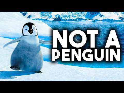 Nobody Watched ‘Happy Feet’ Correctly