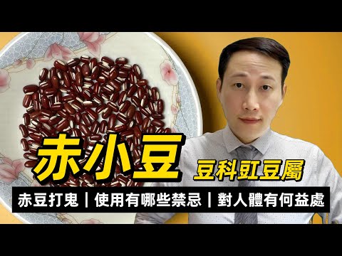 赤小豆，古語赤豆打鬼，對人體有何益處？使用有哪些禁忌？