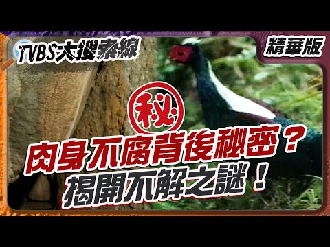 阿里山秘境神獸現？鄒族傳說大揭秘！【#大搜索線 精選】#阿里山 #探險 #鄒族 #靈魂 #信仰 #長生不老藥 #抗癌