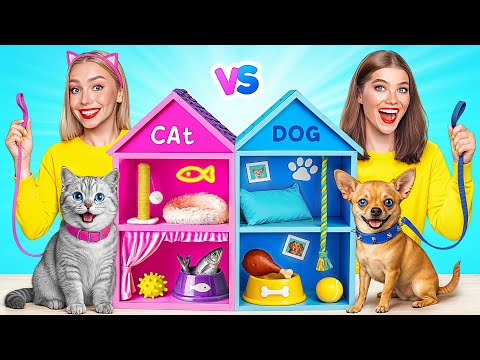 We Build Tiny House for Pets | Crazy Challenge by Multi DO Smile