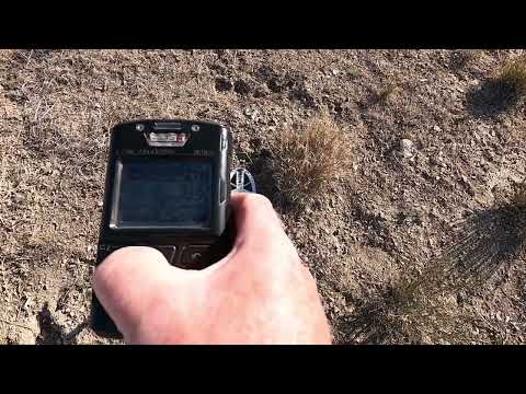 Lower Mineral Small Gold XP Deus 2 HF vs Manticore M8