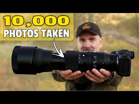 Sigma 150-600mm Contemporary Review for Bird and Wildlife Photography