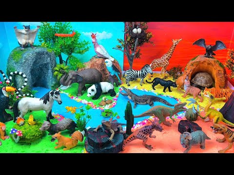 Forest, Savanna, River & Dinosaurs! π³ππ₯Explore & Learn Together