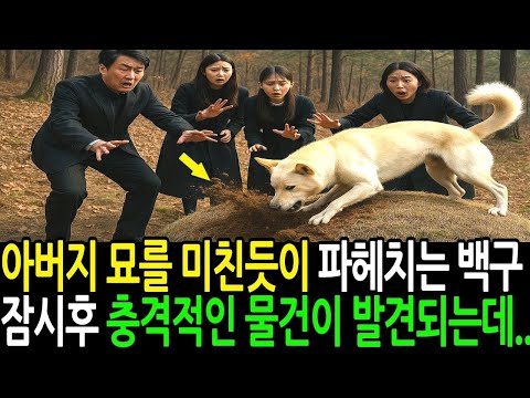 아버지 묘를 미친듯이 파헤친 백구 잠시 후 상상도 못할 충격적인 물건이 발견되는데