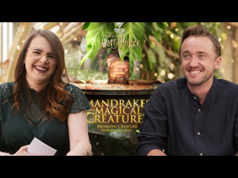 An Interview with Tom Felton | Warner Bros. Studio Tour London