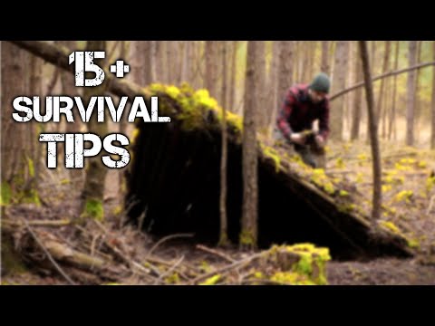 15 Wilderness Bushcraft Skills For Surviving 100 Days Alone in the Wild | Brought to you by History