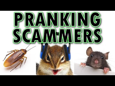 Pranking Scammers ft. Mark Rober