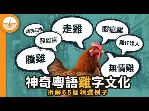 神奇粵語雞字文化｜拆解65個精選例子 (繁中字幕)