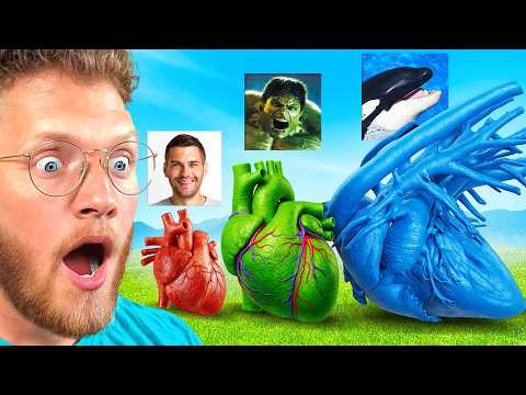 Reacting To Heart Size Comparisons