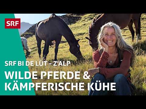 Wild horses & fierce cows | Z'Alp – SRF bi de Lüt | 2025 – 2/5 | SRF