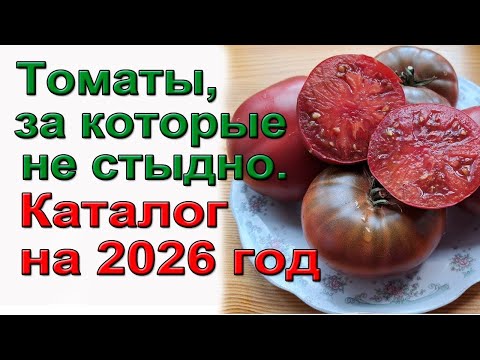 Семена на 2026 год выбор нашей бабушки для урожайного огорода! Что буду сажать в 2026. томаты 