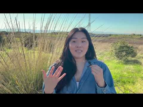 Female Friendships through an Autistic woman’s eyes