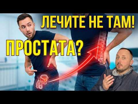 Слабая эрекция не из-за простаты. Главная мужская ошибка после 40. Лечат простату, а проблема выше