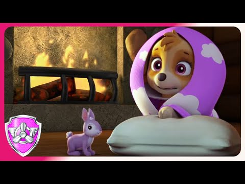 Cosy Fireplace and Cone of Shame | Skye PAW Patrol | Cartoons for kids