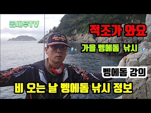 철수 하는데 거제 구조라권에 적조 띠가 엄청 납니다 항에서는 참돔 양식 한거 물차에 실는다고 난리구요 ㅎㅎ 조만간 거제 내만권에 퍼질듯 합니다   #벵에돔 강의 #곰새우TV #적조