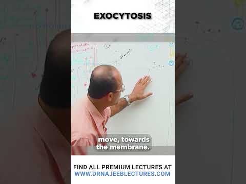 Exocytosis #drnajeeb #shortvideo #drnajeeblectures