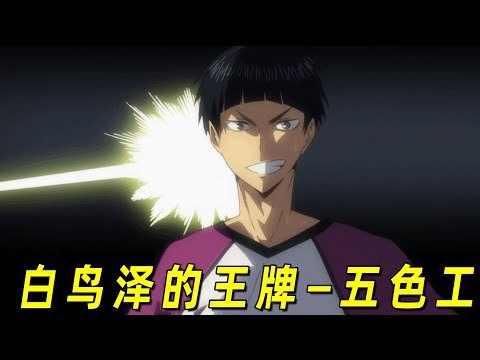 【排球少年人物志】比及川还“惨”的白鸟泽王牌五色工！一哄就好的妹妹头天才，白鸟泽的团宠兼团欺！