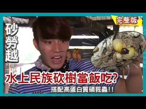 【砂勞越】水上民族食物好特別?吃樹配碩莪蟲/男人壯陽至寶?南洋人參東革阿里/徒手爬80呎採奢華燕窩!!《世界第一等》548集完整版 唐振剛 #Sarawak