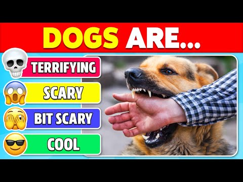 TIER LIST FEARS: How Scared Are You? 😱