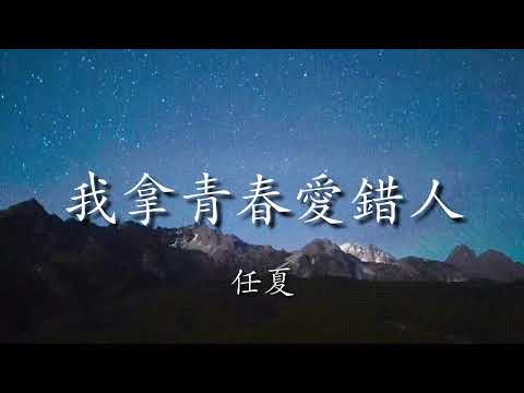 我拿青春愛錯人 - 任夏   Lyrics 歌詞/純音樂/原唱版