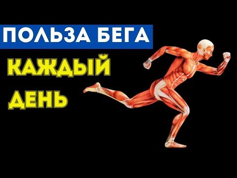 WHAT HAPPENS TO YOUR BODY IF YOU RUN EVERY DAY (YOU WILL BE SURPRISED)