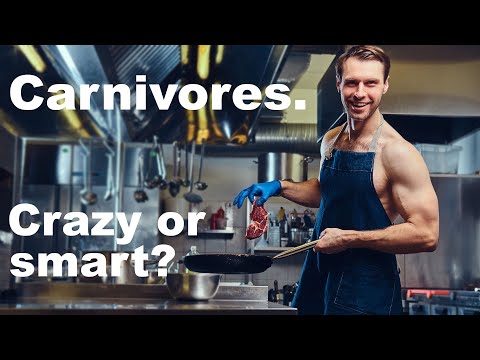 Debunking the Carnivore Code diet, Paul Saladino and Joe Rogan.