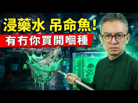 踢爆街市5種「回光返照」毒海鮮毒水產！第4種老人家日日當補品食，其實係吞緊寄生蟲！竟會全家食到洗腎？｜老伙靚湯 - Tomson
