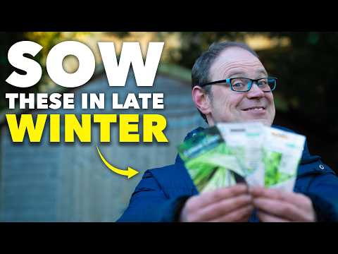 You Must Sow These Seeds in February