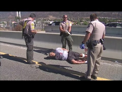 Los Angeles police tackle pursuit suspect before jumping from freeway overpass