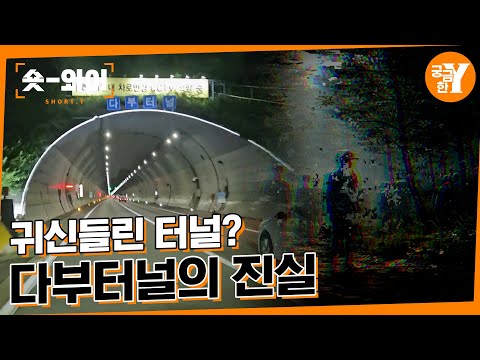 [Y 738회 요약] 다부터널 미스터리, 괴담의 실체는 무엇인가? | 숏와이