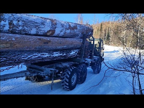 Вывоз леса в минус 35°. Очень красиво🔥 