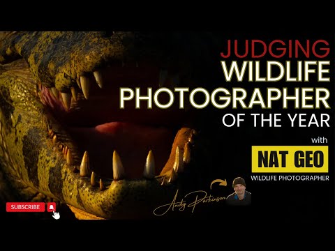 JUDGING WILDLIFE PHOTOGRAPHER of the YEAR - an insight with Andy Parkinson, NAT GEO Photographer